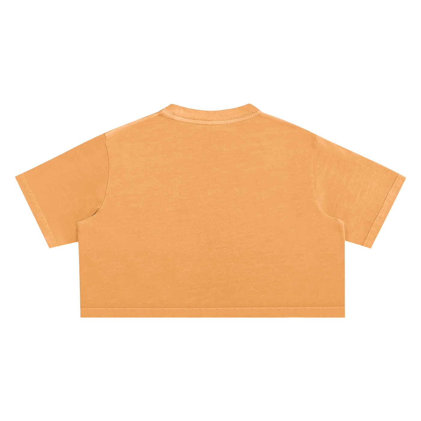 Womens MC Plain Jane Snow Washed Crop Top